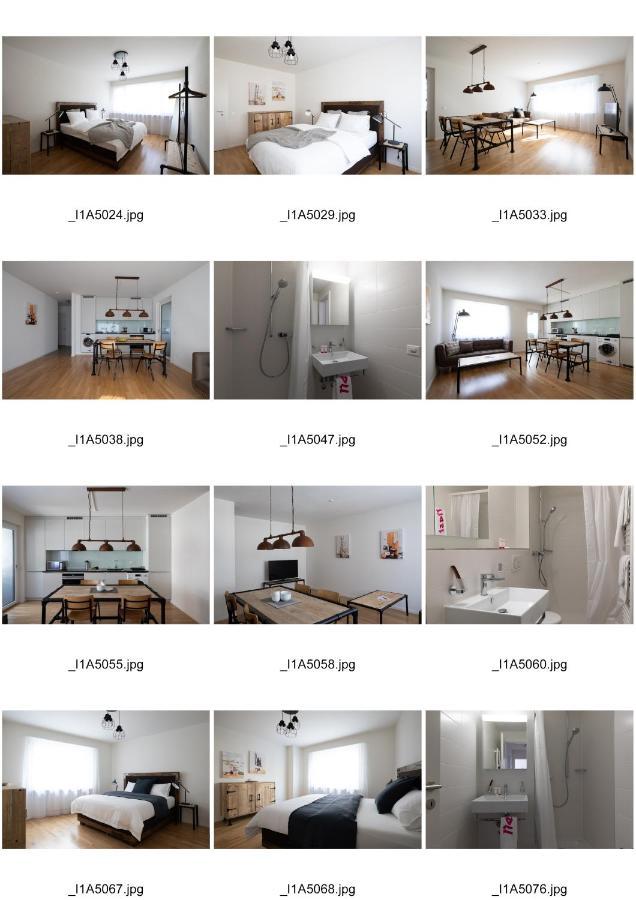 Apartament Nest - Riehenring 147 Bazylea Zewnętrze zdjęcie